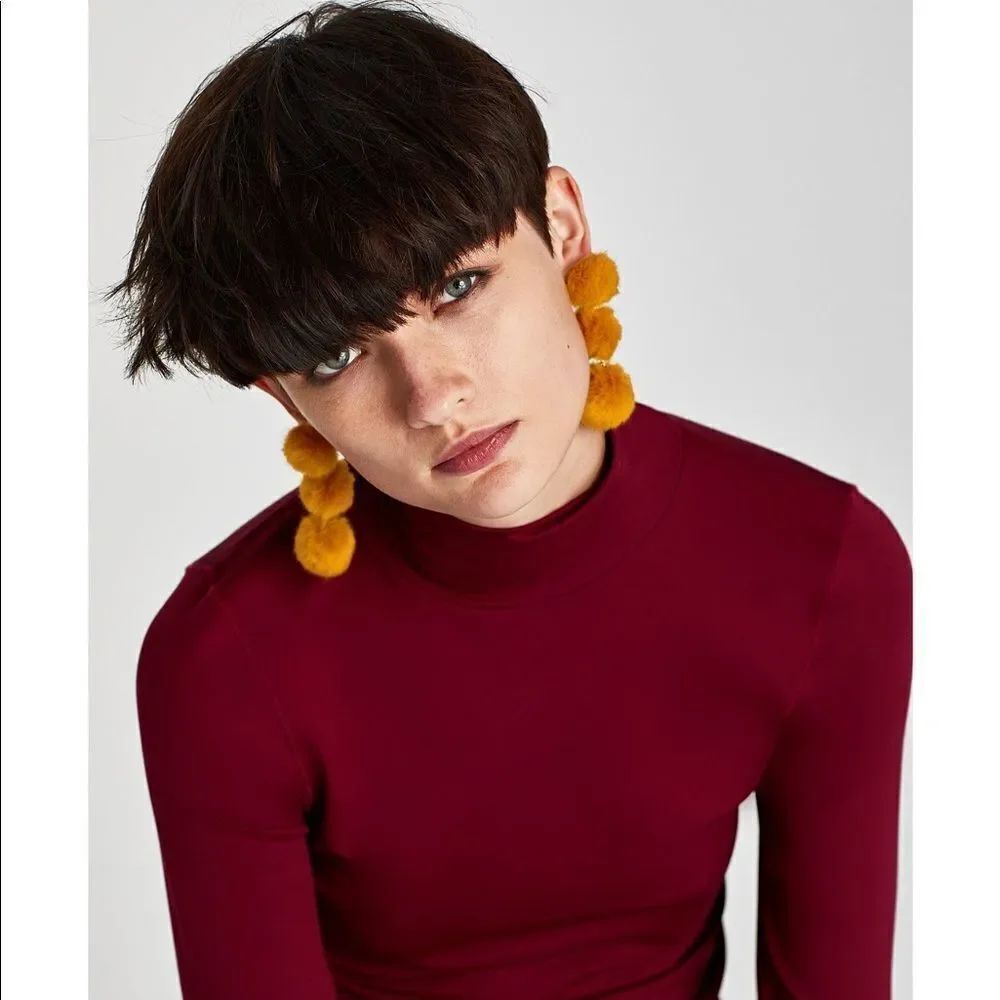 ✨2xHP✨Zara Long Pompom Earrings✨